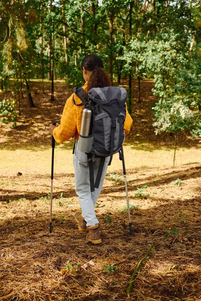 A young woman hikes along a forest trail, embracing the autumn colors and fresh air of nature. — Stock Photo