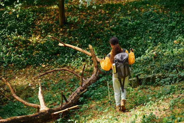 Una joven camina por un bosque otoñal, rodeada de colorido follaje, abrazando su espíritu aventurero. — Stock Photo