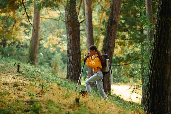 A spirited young woman explores a colorful forest, embracing the beauty of autumn during her hike. — Stock Photo