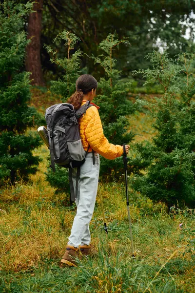 A young woman explores the colorful autumn forest while hiking, surrounded by lush greenery and falling leaves. — Stock Photo