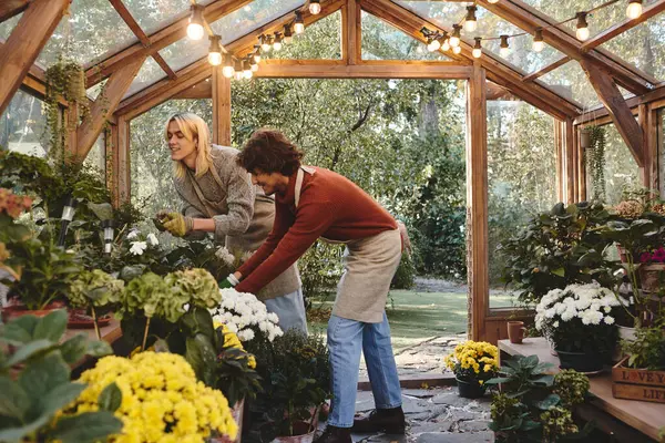 In a whimsical greenhouse, Young loving gay couple with stylish looks are tending to colorful flowers. The space is adorned with lush greenery and warm light, creating a cheerful atmosphere. — Stock Photo