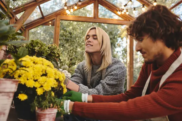 In a lively greenhouse, a young lgbt couple shares a joyful moment while tending to vibrant yellow flowers. Their smiles reflect the happiness of nurturing plants in the warm sunlight. — Stock Photo