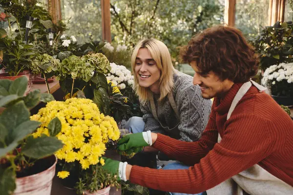 In a bright greenhouse, Young loving gay couple share joyful moments while tending to vibrant yellow flowers. — Stock Photo
