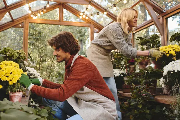 In a bright greenhouse, Young loving gay couple engage joyfully in planting vibrant flowers. — Stock Photo