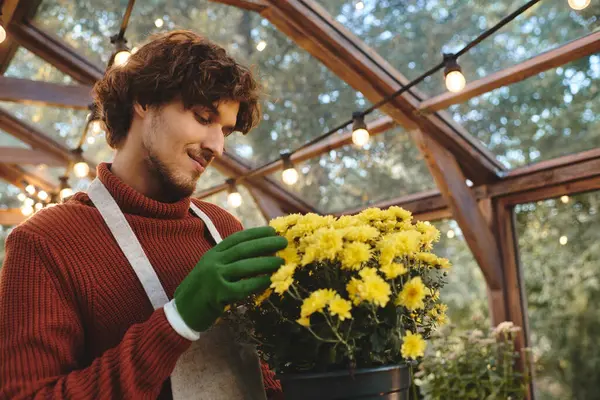 A young and handsome gardener tends to bright yellow flowers in a cozy glasshouse surrounded by nature. The warm sunlight filters through, creating a serene atmosphere. — Stock Photo