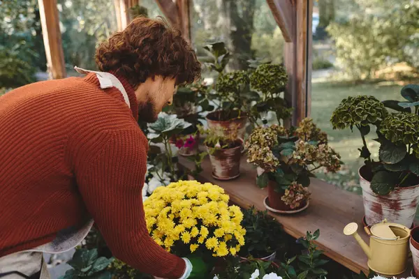 Un hombre joven y atractivo organiza cuidadosamente un ramo de flores de color amarillo brillante en un invernadero sereno. Rayos de luz solar filtran a través del vidrio, iluminando la vegetación. - foto de stock
