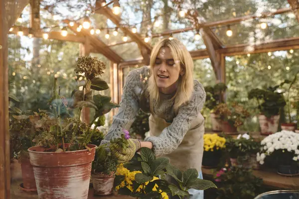 Bright sunlight filters through the greenhouse as a young man nurtures colorful flowers, showcasing a love for gardening. The serene setting is filled with lush greenery and vibrant blooms. — Stock Photo