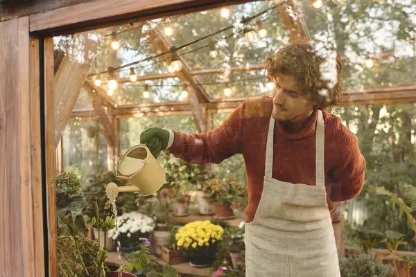 Un beau jeune homme dans un pull chaud arrose doucement les plantes vibrantes dans une serre magnifiquement décorée. Un éclairage doux crée une atmosphère tranquille, améliorant la joie du jardinage. — Photo de stock
