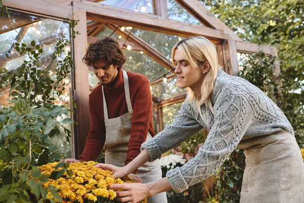 Two young men, one with curly hair and the other with straight hair, work together in a greenhouse. They lovingly arrange bright yellow flowers, surrounded by lush greenery and warm sunlight. — Stock Photo