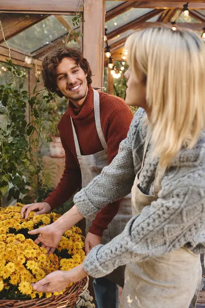 A young and handsome person collaborates with a friend, both clad in cozy attire, as they skillfully arrange bright yellow flowers in a charming greenhouse. — Stock Photo