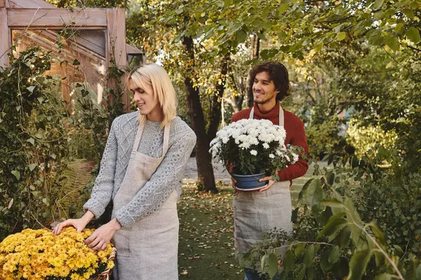 In a sunlit garden, a young couple smiles as they tend to colorful flowers. With aprons on, they joyfully plant chrysanthemums, surrounded by lush greenery and the warmth of nature. — Stock Photo