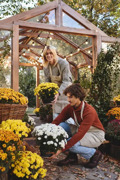 Young loving gay couple joyfully arrange colorful potted flowers inside a cozy greenhouse. Surrounded by lush greenery and warm lights, they share a moment of creativity and love for nature. — Stock Photo