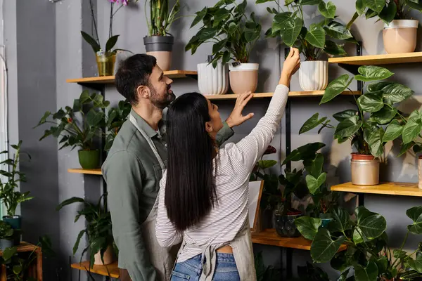 A couple works together, selecting plants in their cozy flower shop filled with greenery. — Stock Photo