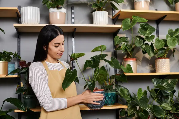 Florista cuidadosamente organizar exuberante vegetación mientras está inmerso en las tareas diarias de negocios. - foto de stock