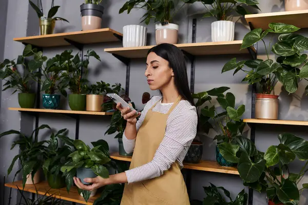 Una florista en su animada tienda cuida cuidadosamente de una planta mientras maneja sus tareas diarias.. - foto de stock