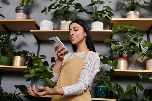 Una florista experta en una tienda atractiva interactúa con un cliente mientras administra sus plantas. - foto de stock