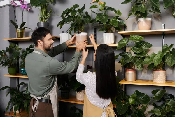 La pareja casada organiza plantas vibrantes en los estantes de su negocio floral, fomentando el crecimiento. - foto de stock