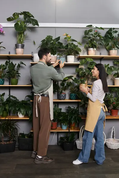 Una pareja casada colabora en su acogedora floristería, tendiendo a vibrantes plantas y flores. - foto de stock