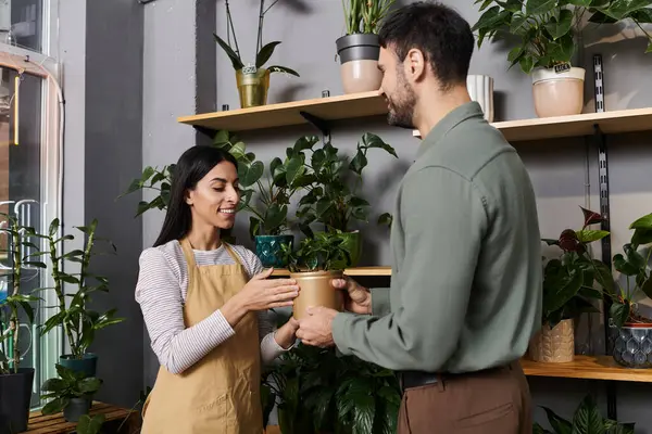 A talented florist engages with a customer, showcasing plants in a cozy flower shop. — Stock Photo