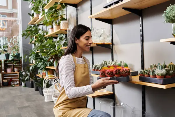 Sonriente dueño de la tienda de plantas coloca cuidadosamente cactus coloridos en un estante en su acogedora tienda. - foto de stock
