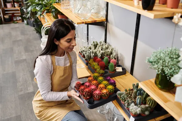 Brunette plant shop owner carefully organizes colorful succulents while enjoying her workspace. — Stock Photo