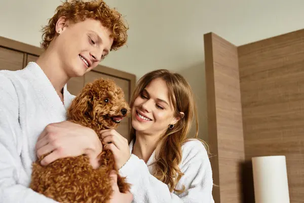 A loving couple in bathrobes cherishes playful moments with their dog inside a stylish hotel room. — Stock Photo