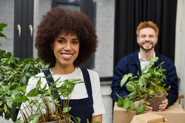 Two friends joyfully unpack indoor plants together in a contemporary space filled with sunlight. — Stock Photo