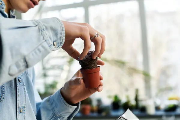 Hands nurture a small plant in a bright art studio, showcasing creativity and care. — Stock Photo