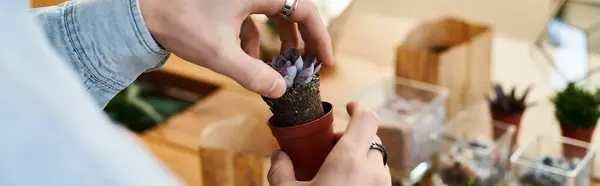 A person gently places a succulent into a pot while surrounded by artistic materials in the studio. — Stock Photo