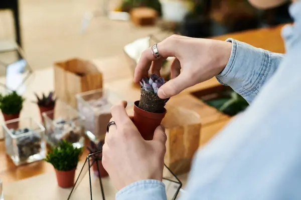 Hands carefully place a succulent into a small terracotta pot, surrounded by various art materials. — Stock Photo