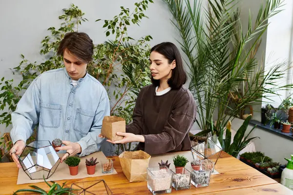 Creative couple craft beautiful terrariums in a vibrant art studio surrounded by lush plants. — Stock Photo