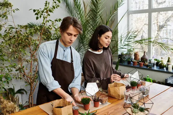 Two young artists collaborate in an art studio, crafting unique plant arrangements with enthusiasm. — Stock Photo