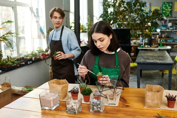 Artists creating unique plant arrangements in a vibrant, inspiring art studio. — Stock Photo