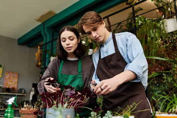 Deux jeunes artistes collaborent au milieu de plantes, faisant preuve de créativité dans un espace lumineux. — Photo de stock