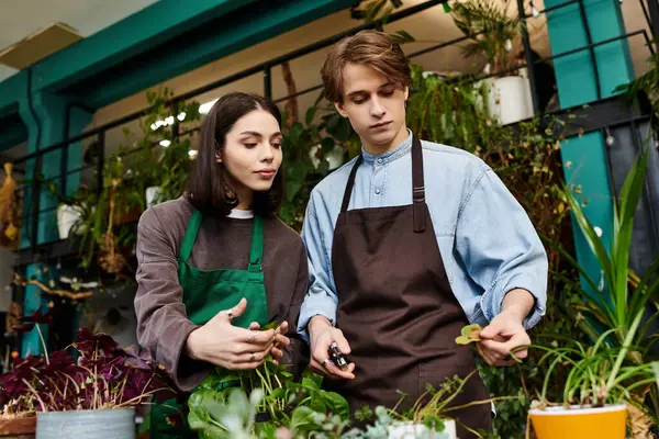 Loving couple in a creative studio explore plant arrangements, sharing ideas and inspiration. — Stock Photo