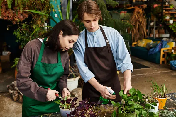 Dos jóvenes se dedican a cultivar plantas mientras exploran creativamente su lado artístico. - foto de stock