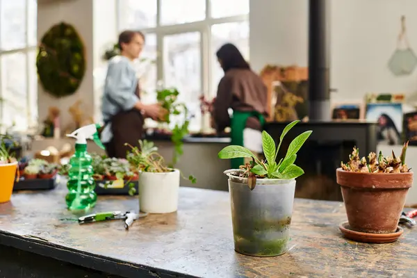 Loving couple engage in a creative activity surrounded by vibrant plants and artistic tools. — Stock Photo