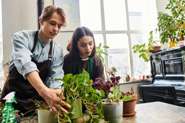 Creative couple nurture vibrant plants in a sunlit studio, inspiring creativity and expression. — Stock Photo