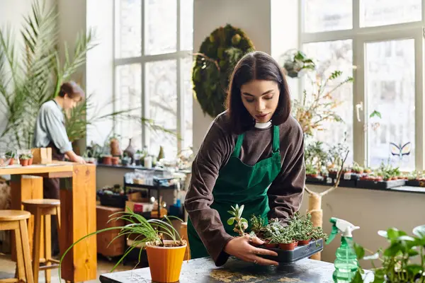 Em um estúdio vibrante, um artista organiza várias plantas em meio a energia criativa. — Fotografia de Stock