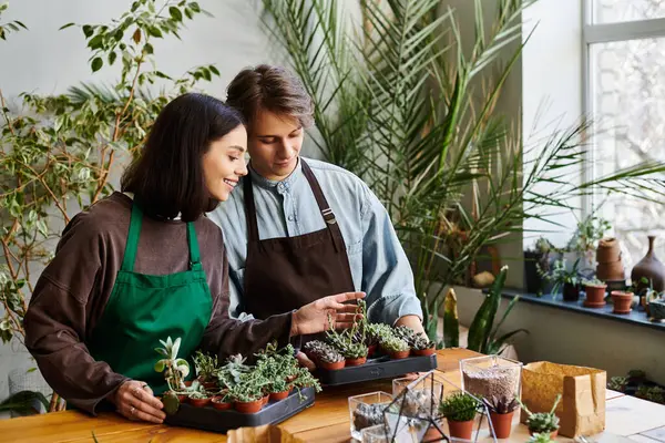 Loving couple joyfully engage in arranging succulents inside a bright and lively art studio. — Stock Photo