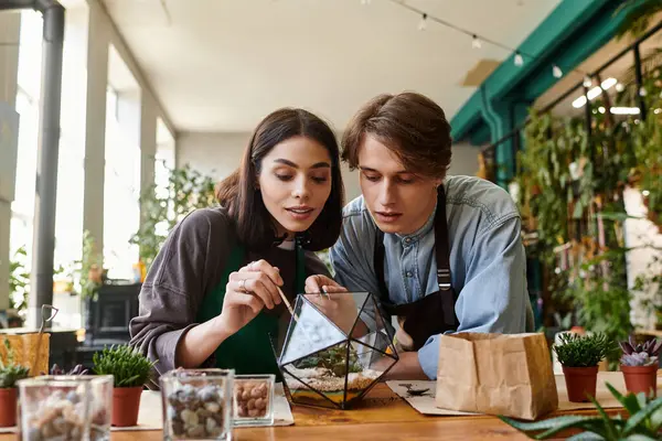 Couple amoureux explorer leur créativité en assemblant un superbe terrarium dans un studio d'art. — Photo de stock
