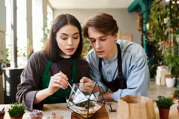 Creative couple collaborate in an art studio, carefully creating a terrarium filled with life. — Stock Photo