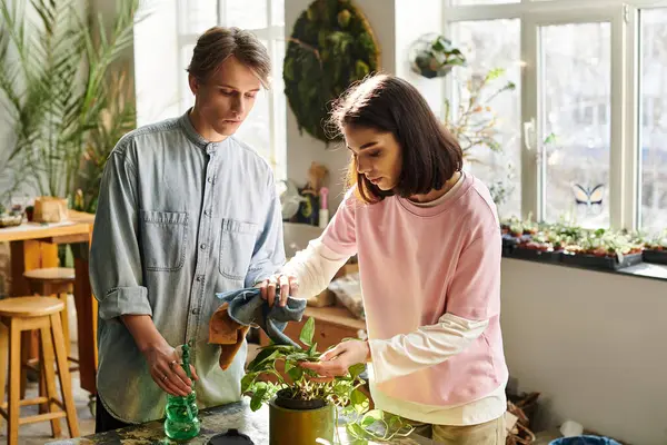 Creative couple work together in a bright studio, nurturing plants while sharing ideas and creativity. — Stock Photo