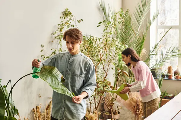 Creative couple caring for vibrant plants in a lively art studio, enhancing creativity and imagination. — Stock Photo