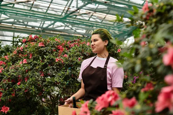 Brightly colored flora surrounds a young woman tending to her tasks in a thriving greenhouse. — Stock Photo