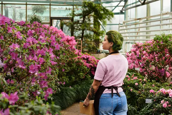 A dedicated young woman works among blooming azaleas in a bright and lively greenhouse. — Stock Photo