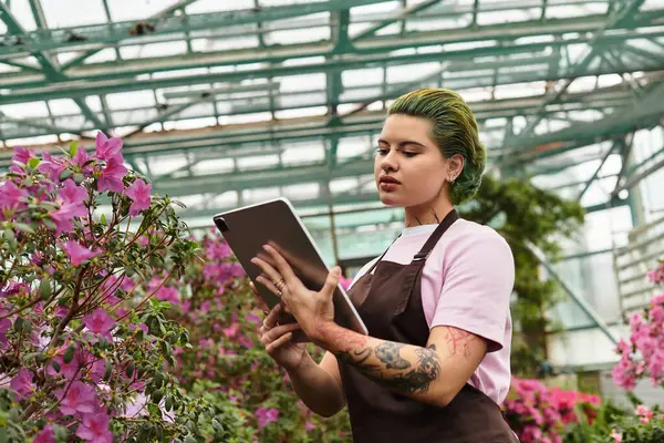 A young woman in a green house is focused on her work, examining plants with a tablet in hand. — Stock Photo