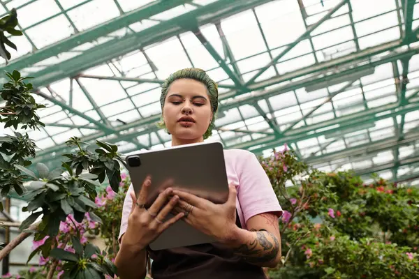 In einem üppigen Gewächshaus nutzt eine junge Frau eine Tablette, um ihre Gartenarbeit anzukurbeln. — Stockfoto