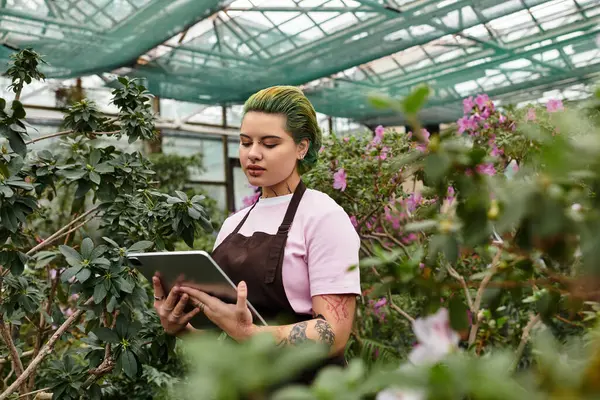 In a vibrant greenhouse, a young woman carefully uses a tablet while surrounded by blooming plants. — Stock Photo