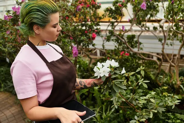 Una joven inspecciona flores de colores en un hermoso invernadero lleno de plantas. - foto de stock